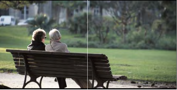 Ruparel Optima Kandivali Garden